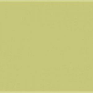Paint and Paper Library Willow IV Paint